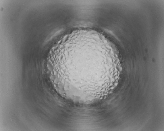 X0000060761399200512081956