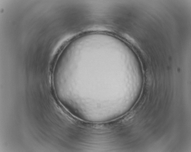 X0000060761408200512081956