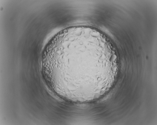 X0000060761413200512081957