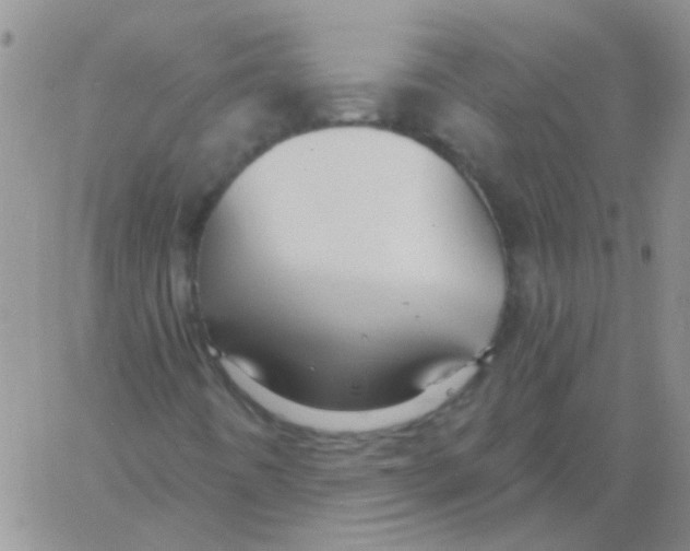 X0000060761442200512081956