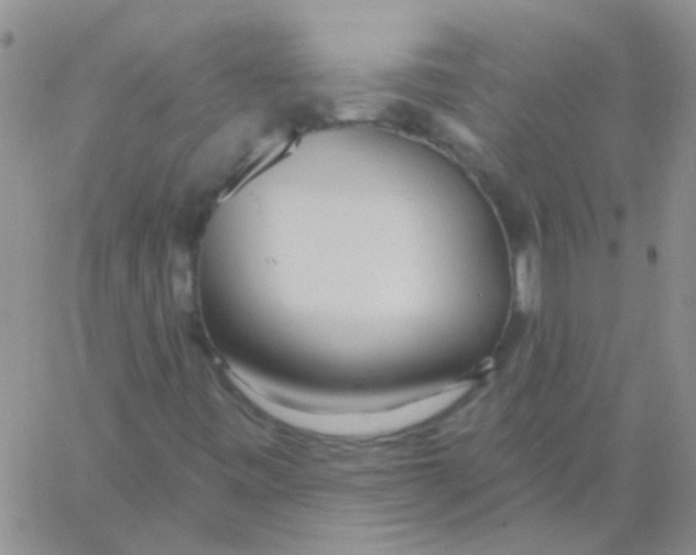 X0000060761443200512081956