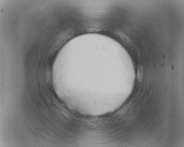 X0000060761444200512081956
