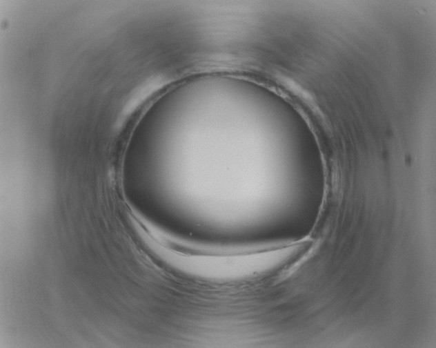 X0000060761453200512081956