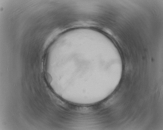 X0000060761459200512081956