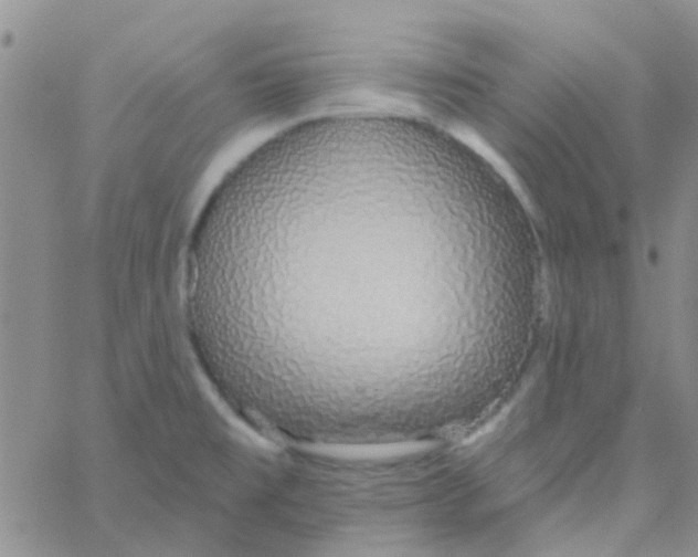 X0000060761477200512081956