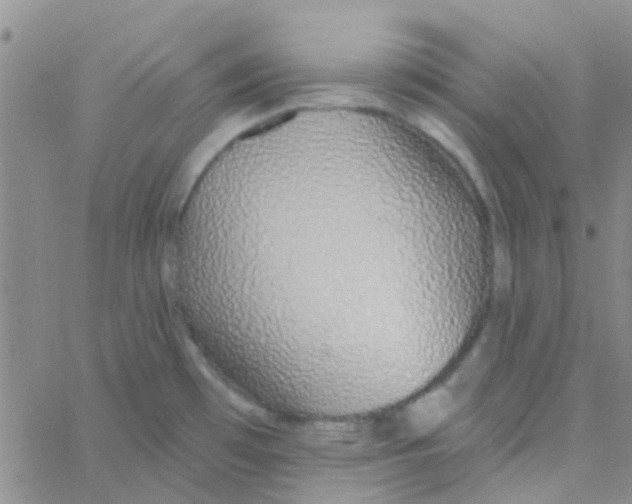 X0000060761481200512081956