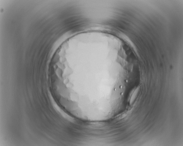 X0000060761483200512081956