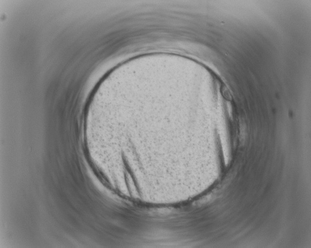 X0000060761515200512081955