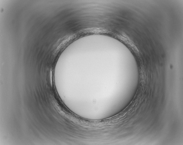 X0000060770014200511100951