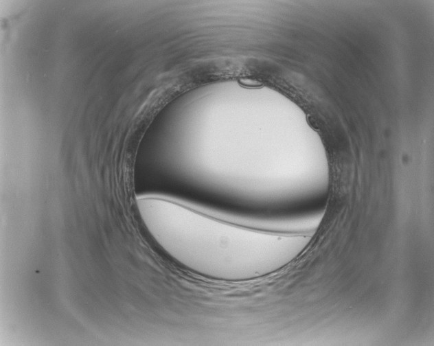 X0000060770035200511100950