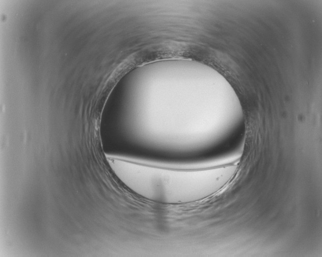 X0000060770045200511100950