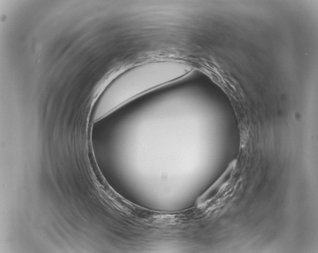 X0000060770052200511100949