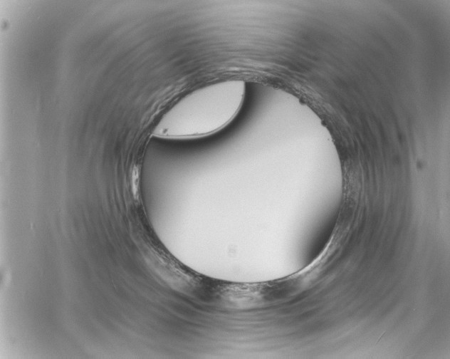 X0000060770094200511100950