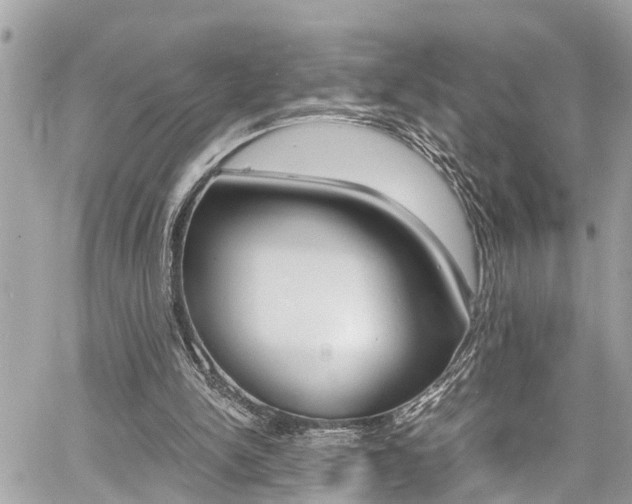 X0000060770150200511100948