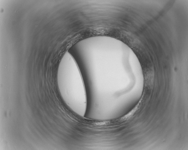X0000060770178200511100948