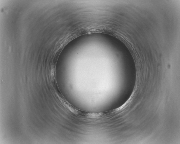 X0000060770192200511100948