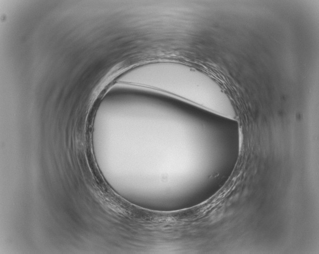 X0000060770195200511100948