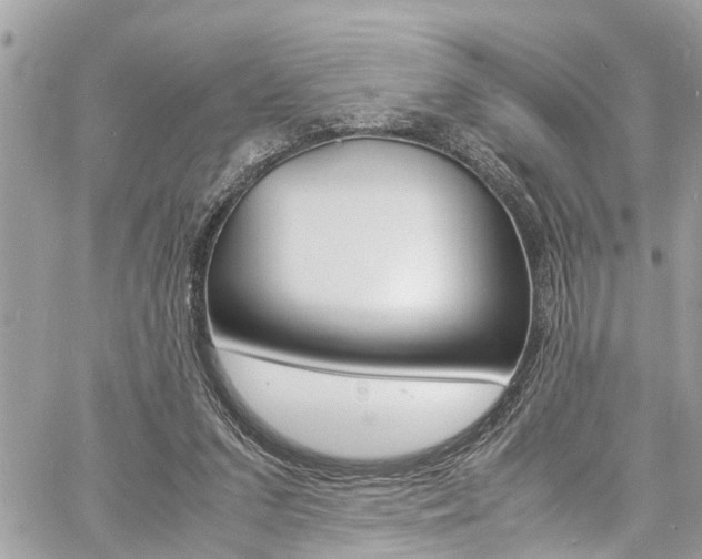 X0000060770207200511100947