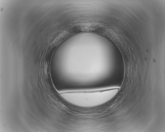 X0000060770219200511100947