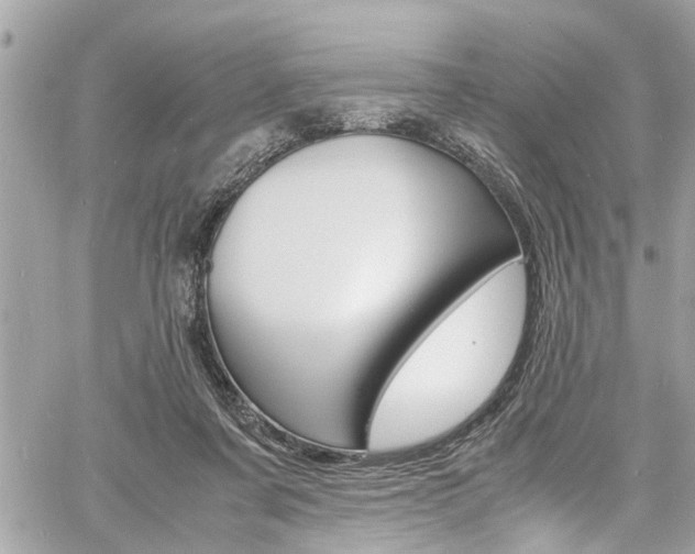 X0000060770311200511100946