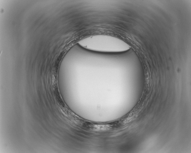 X0000060770371200511100945