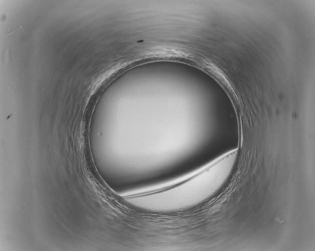 X0000060770387200511100944