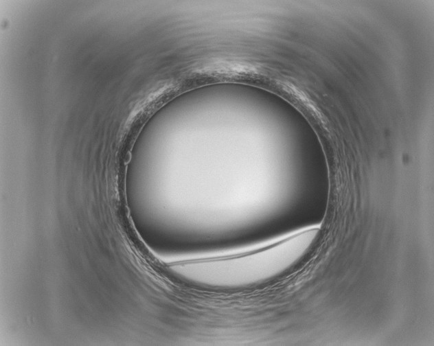 X0000060770399200511100944