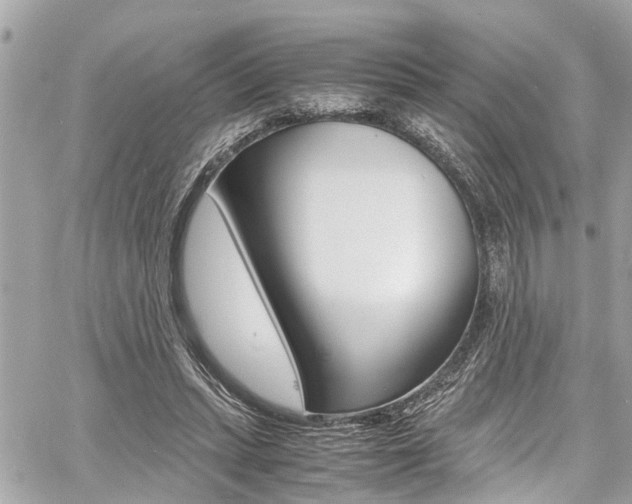 X0000060770447200511100943