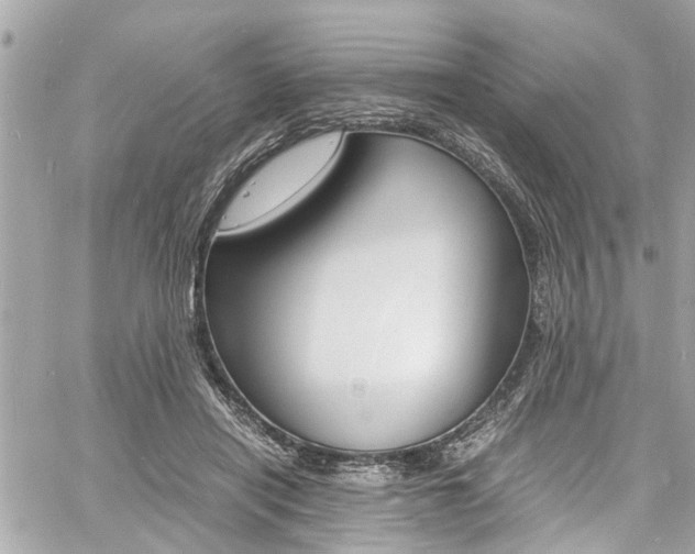 X0000060770454200511100943