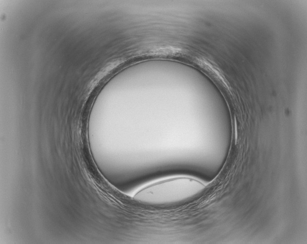 X0000060770483200511100943