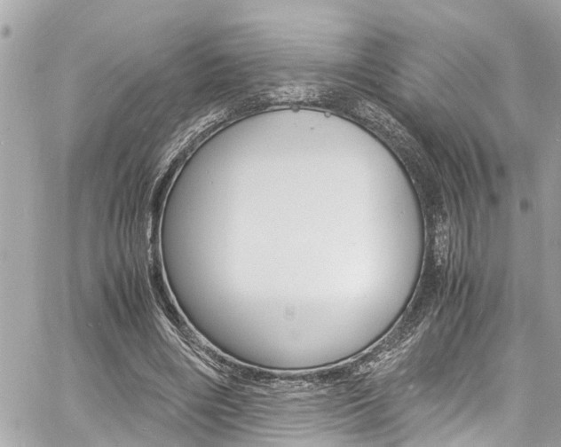 X0000060770490200511100943