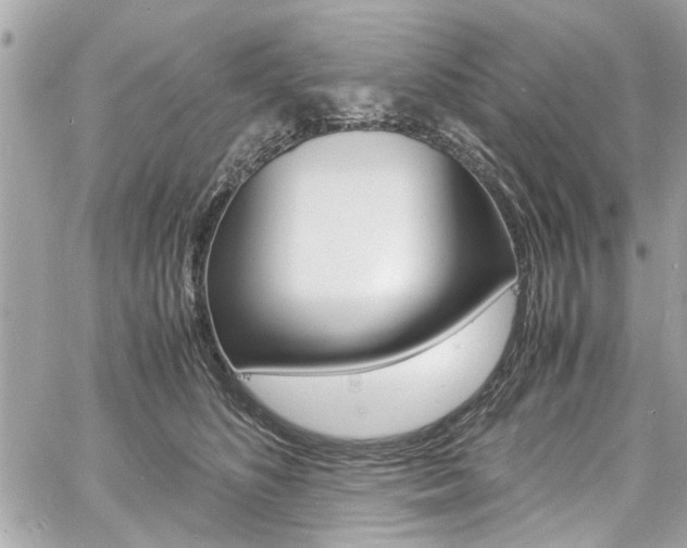 X0000060770516200511100942