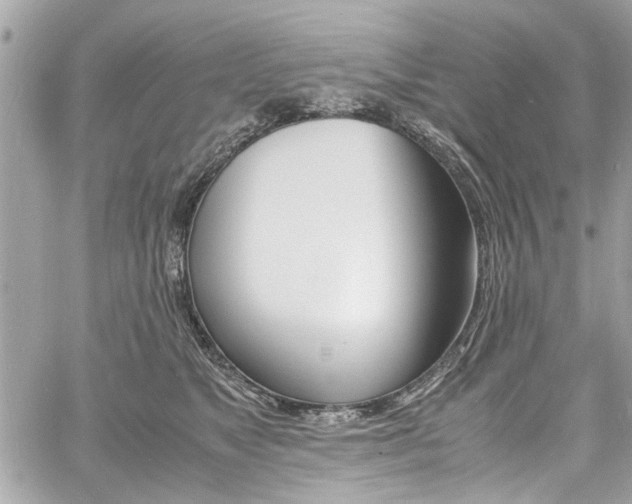 X0000060770517200511100942