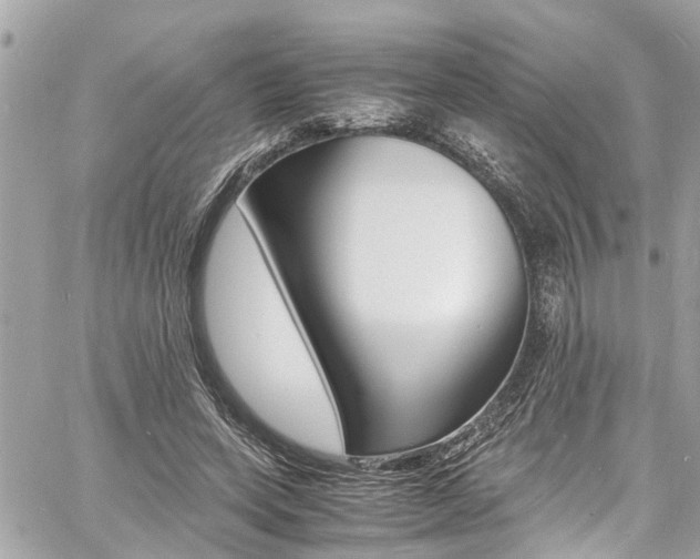 X0000060770543200511100941