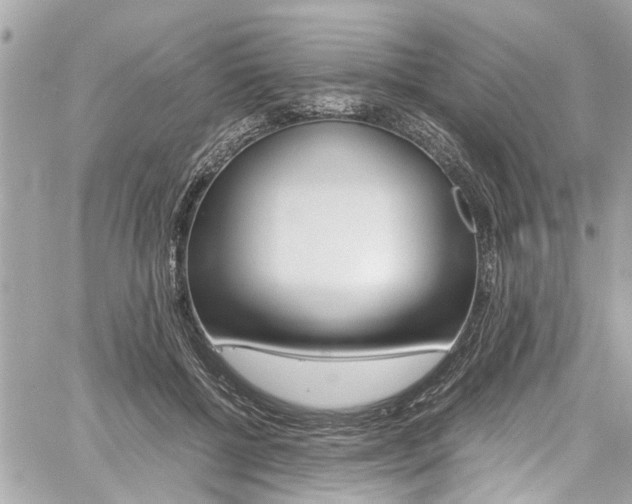 X0000060770552200511100942