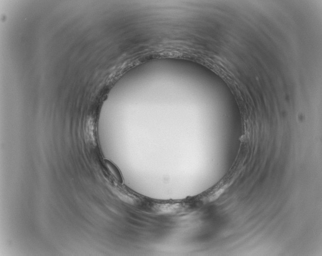 X0000060770575200511100942