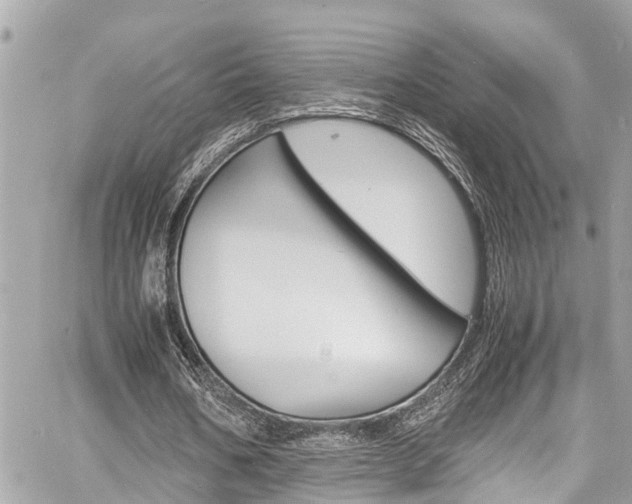 X0000060770578200511100941
