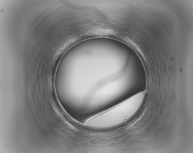 X0000060770581200511100941