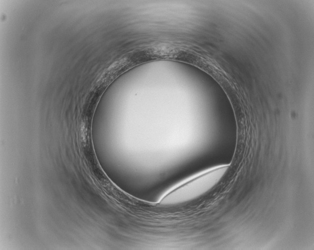 X0000060770597200511100941