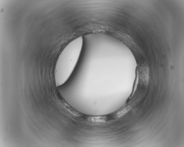 X0000060770622200511100940