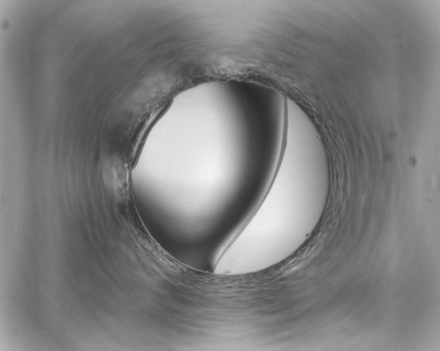 X0000060770624200511100940