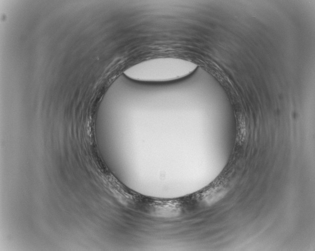X0000060770667200511100940