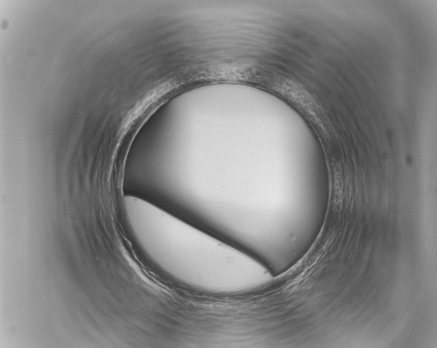 X0000060770674200511100940