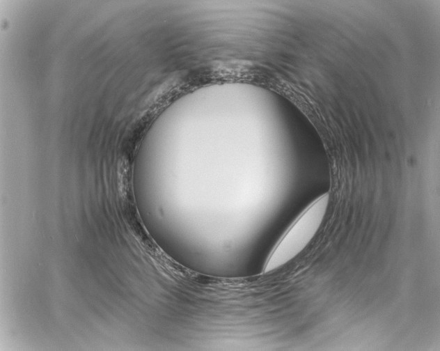 X0000060770712200511100939