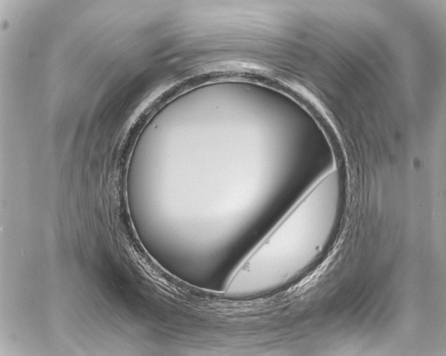 X0000060770783200511100938