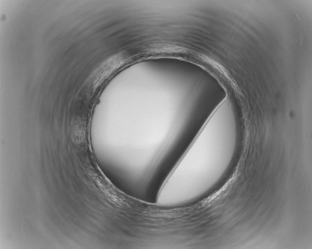 X0000060770833200511100937