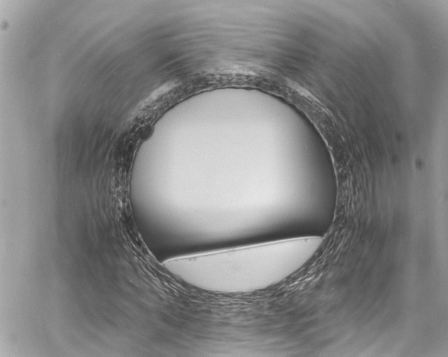 X0000060770870200511100936