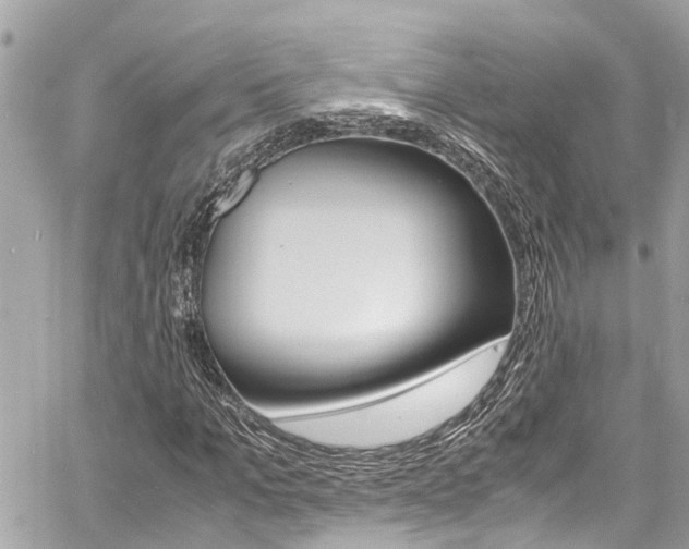 X0000060770965200511100935