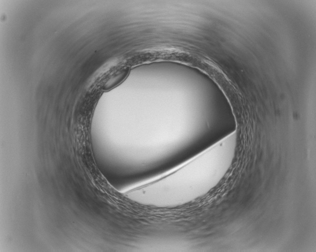 X0000060770967200511100935