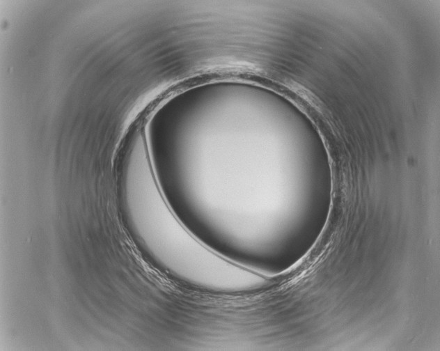 X0000060771022200511100933